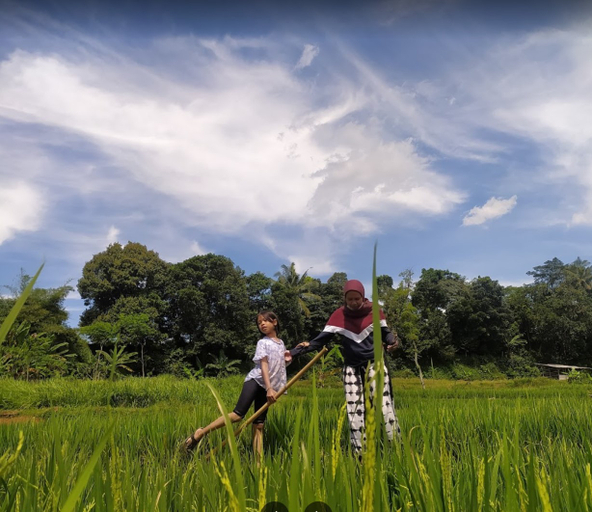 Exterior & Views 5, Saung Eling Cottages Bogor, Bogor