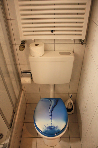 Bathroom 3, Heide Camp Colbitz, Börde
