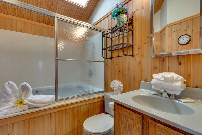 Bathroom, 512bearadise2dcncb - Bearadise 2, Sevier