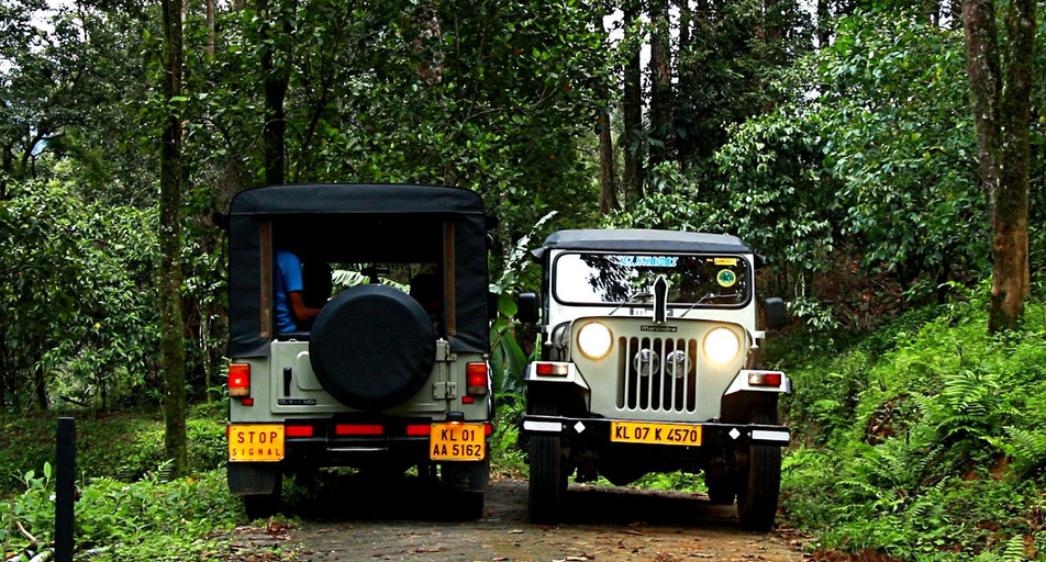 4, Misty Cardamom Hills Munnar, Idukki