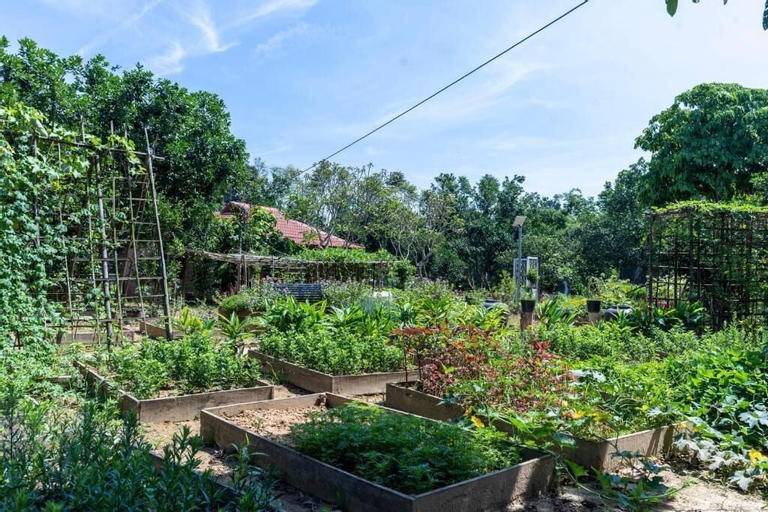 Thai Gia Trang Farmstay, Huế
