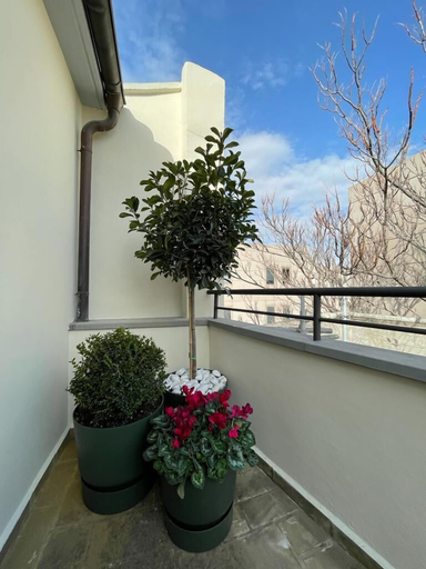 Others 3, Hotel San Valero Boutique, Zaragoza