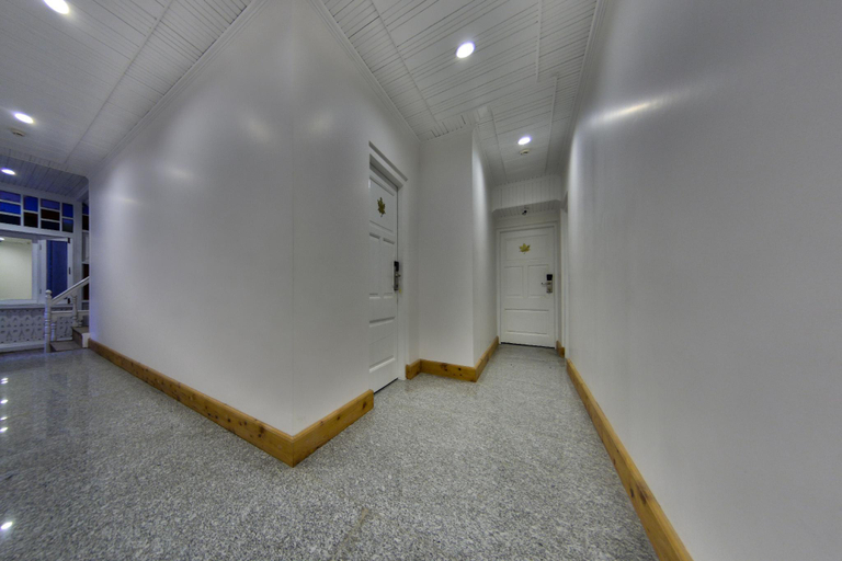 Public Area, Hotel Metropolis, Srinagar