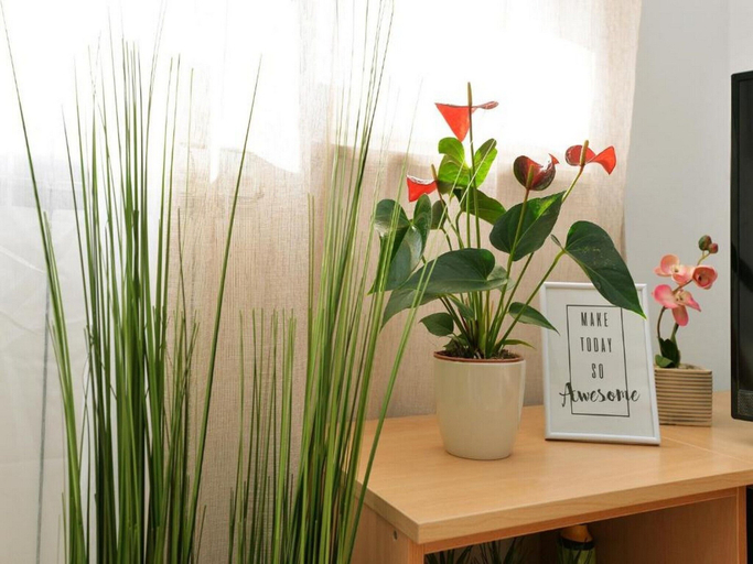 Public Area, Apartments Divna, Murter