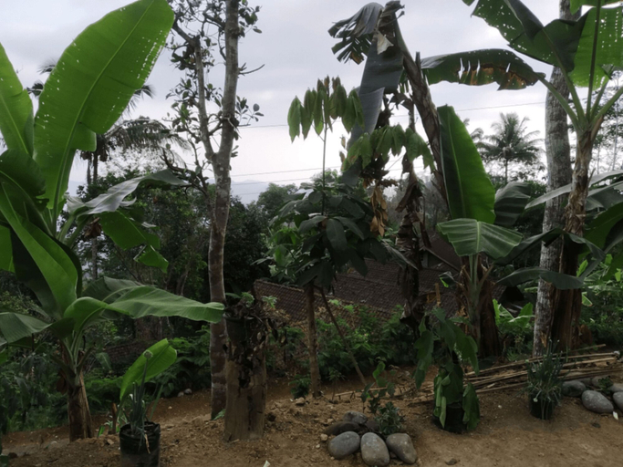 Others, Arjuna Homestay, Kulon Progo