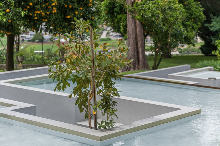 Sport & Beauty, Quinta das Piramides, Vila Nova de Famalicão