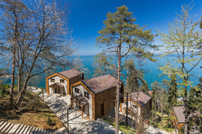 Others 2, HANCIOGLU CAMBURNU Forest Houses, Of