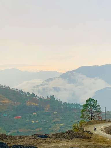 Others 5, Mrig Valley Resort, Homestay & Banquet, Tehri Garhwal