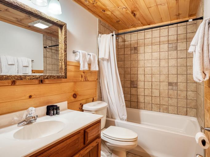 Bathroom 4, Zurich Road 1 - Chestnut, Sevier