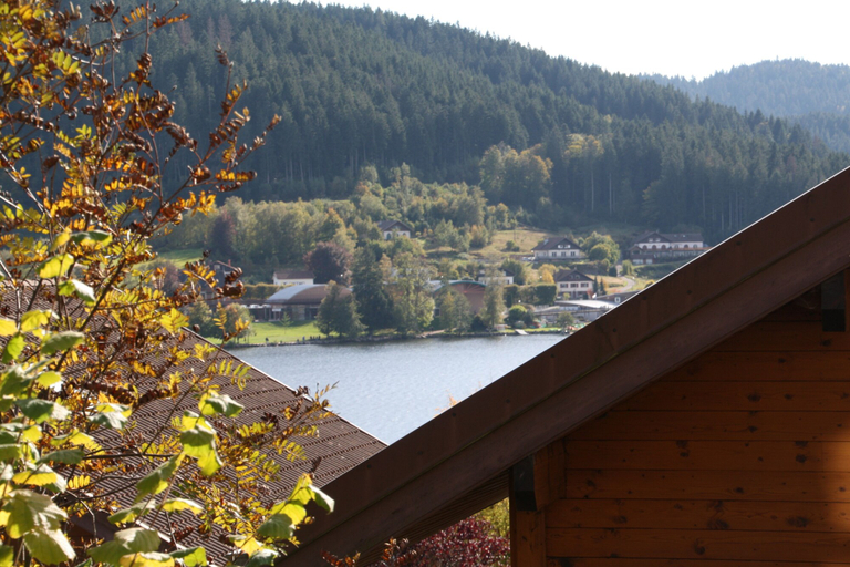 Others 4, Chalet Vosgien , Vosges