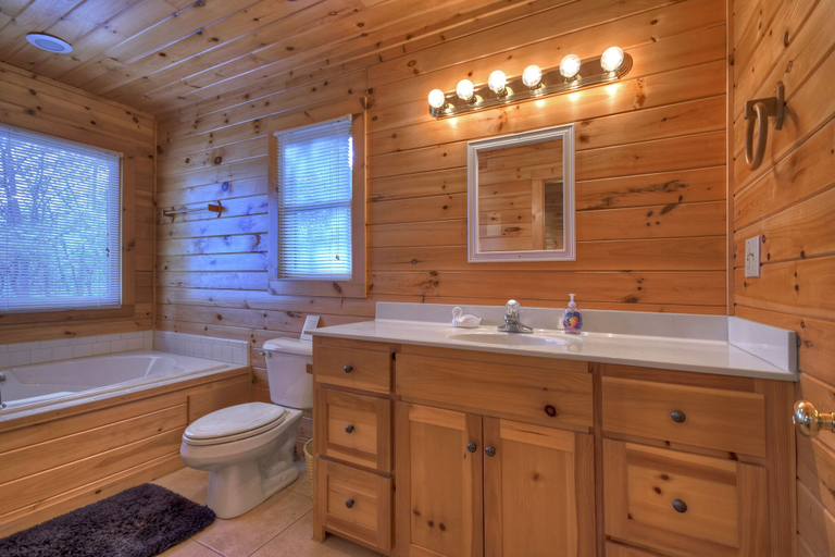 Bathroom 4, Birdhouse on Lake Blue Ridge, Fannin