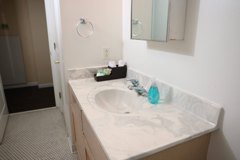 Bathroom, Cozy Campus Stay With 78 Walk Score, Saint Louis