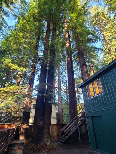 Exterior & Views, Dhyana Redwoods Fire Table Nearby River Access Ping Pong & Arcade Games, Sonoma