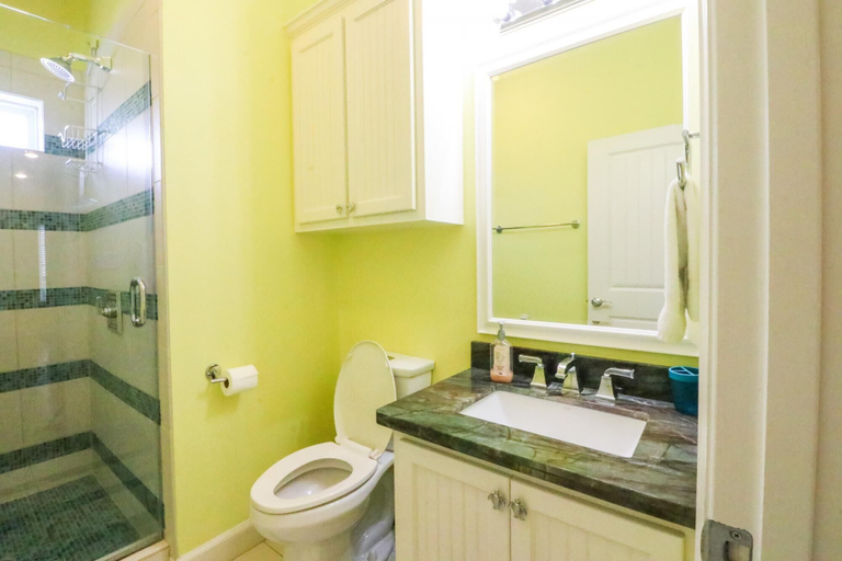 Bathroom 4, A Wave From It All Stay ON the Beach With Ocean Views From 2 Decks, Brazoria