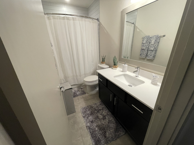 Bathroom, Midtown Loft, Houston