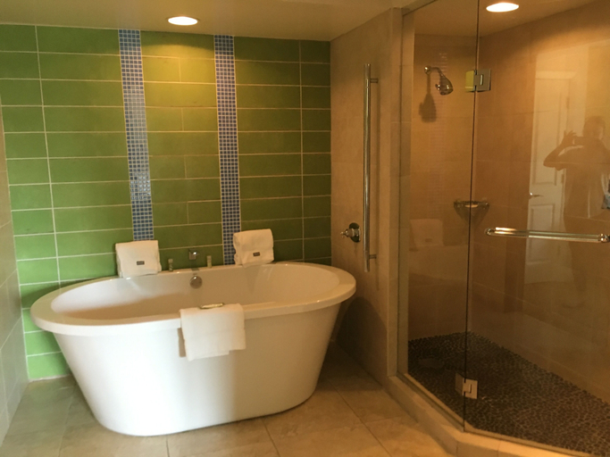 Bathroom 5, Westin St John, Cruz Bay