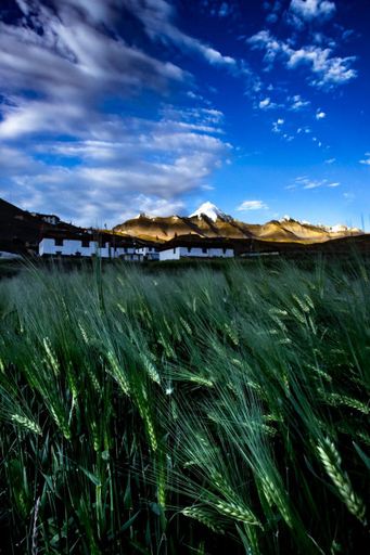 Others 5, Spiti Sarai & Resort, Lahul & Spiti