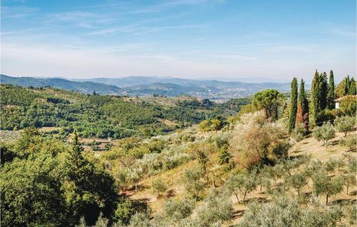 G1 - Vista, Arezzo