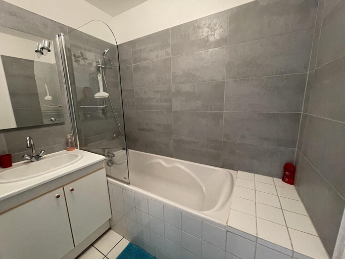 Bathroom 5, Appartement Le Temple Auxerre Centre Ville, Yonne