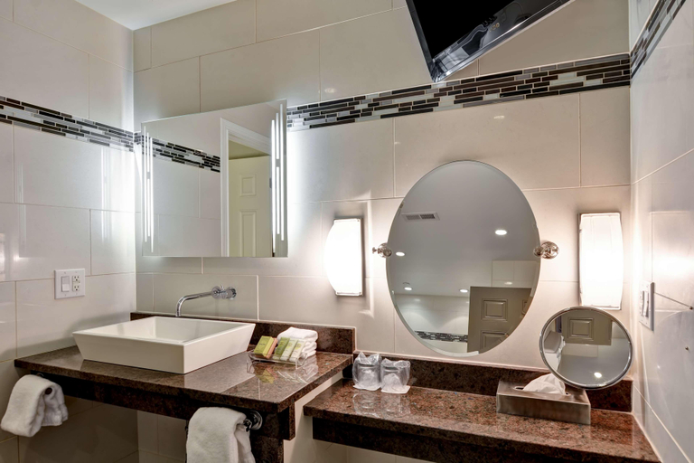 Bathroom 4, The Cincinnatian Hotel, Curio Collection by Hilton, Cincinnati