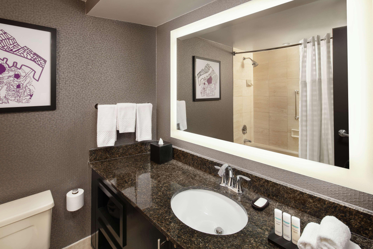 Bathroom, Embassy Suites by Hilton Crystal City National Air, Arlington