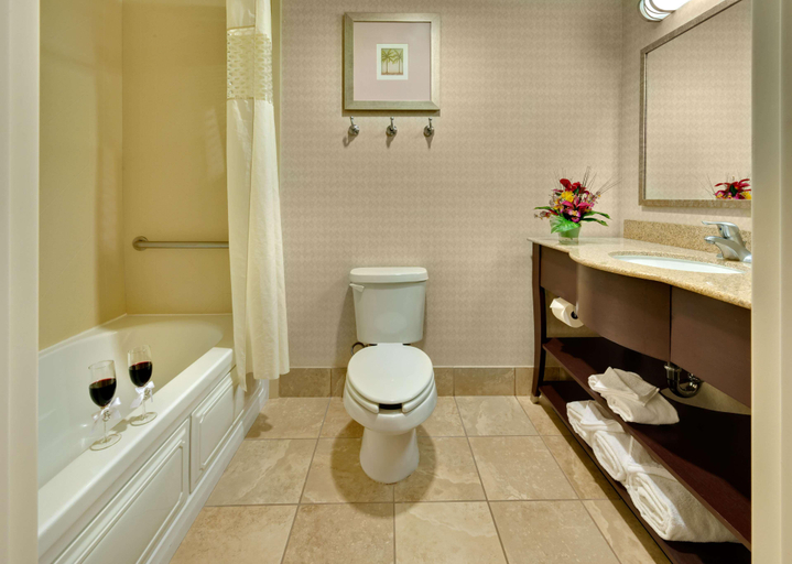 Bathroom 4, Hampton Inn & Suites Reno, Washoe