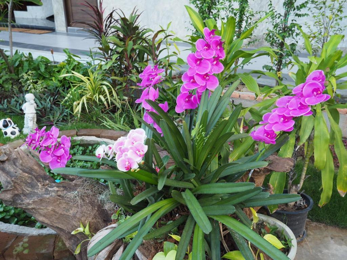 Others 5, A Day Inn Lamphun, Muang Lamphun