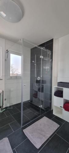 Traumhafte Penthouse-Ferienwohnung im außersten Suden Deutschlands, Lörrach