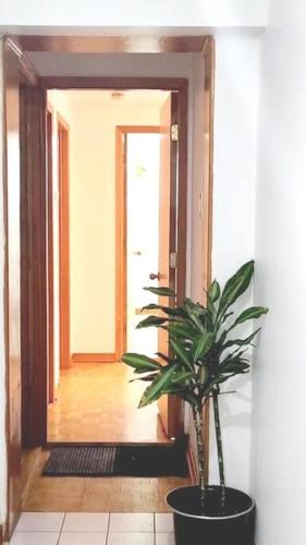 Superbe appartement 5 min de DIX30 a 20 min de Montreal., Champlain