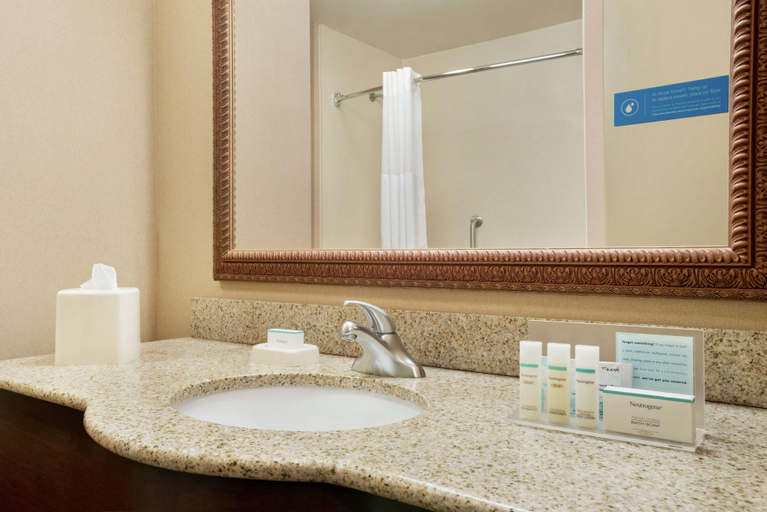 Bathroom 4, Hampton Inn & Suites West Bend, Washington