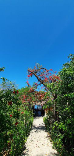 Exterior & Views 2, Angel Island Eco Resort, West Manggarai