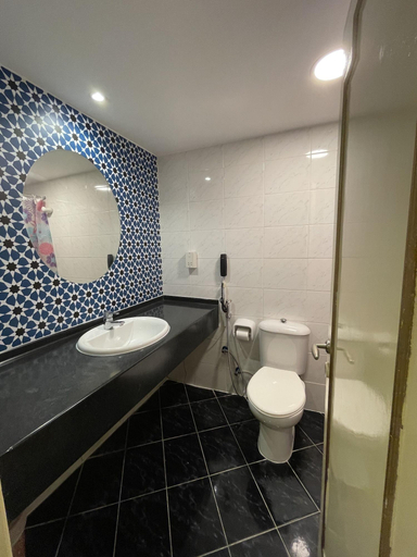 Bathroom 5, Mount Sina Hotel, Dubai