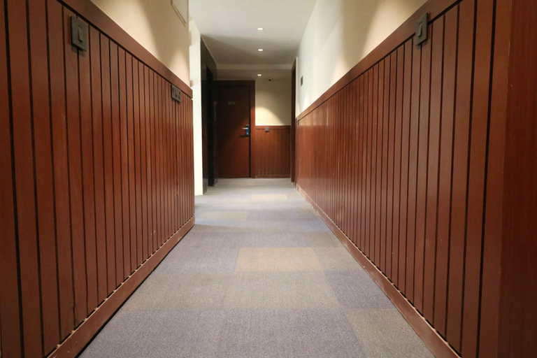 Public Area 3, THE LAKE HOTEL, Kolkata
