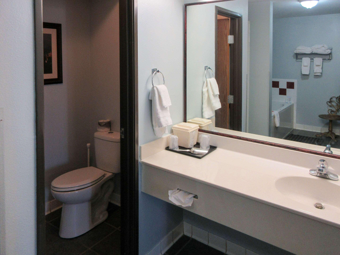 Bathroom 4, Quality Inn & Suites Manitou Springs At Pikes Peak, El Paso