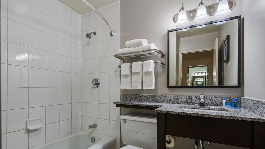 Bathroom 4, Best Western Northwest Indiana Inn, Lake