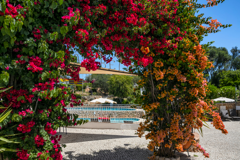 Exterior & Views 2, Quinta Do Paraiso, Lagoa