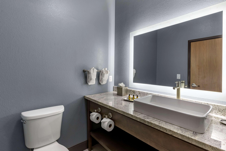 Bathroom 8