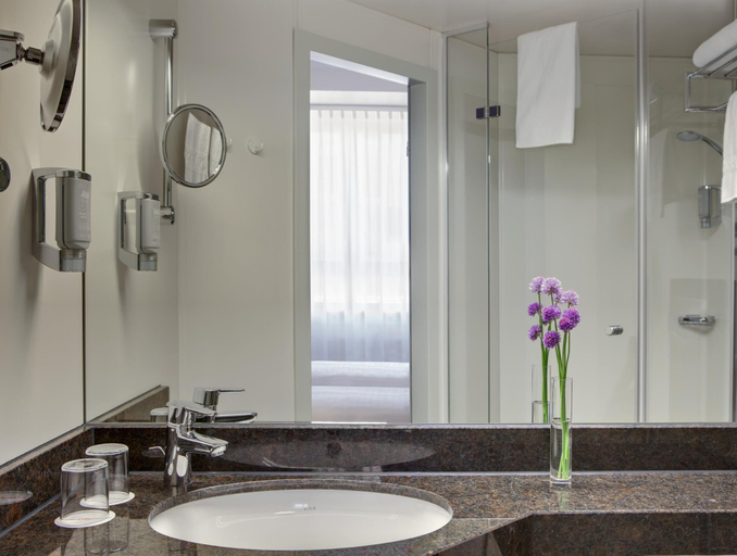 Bathroom 4, Rugs Ht Augsburg, Trademark Collection By Wyndham, Augsburg