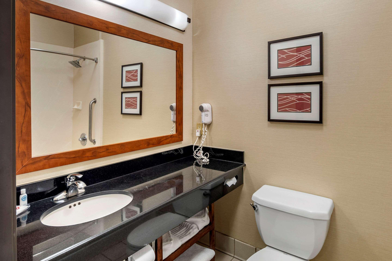 Bathroom 4, The Atrium Hotel, San Mateo