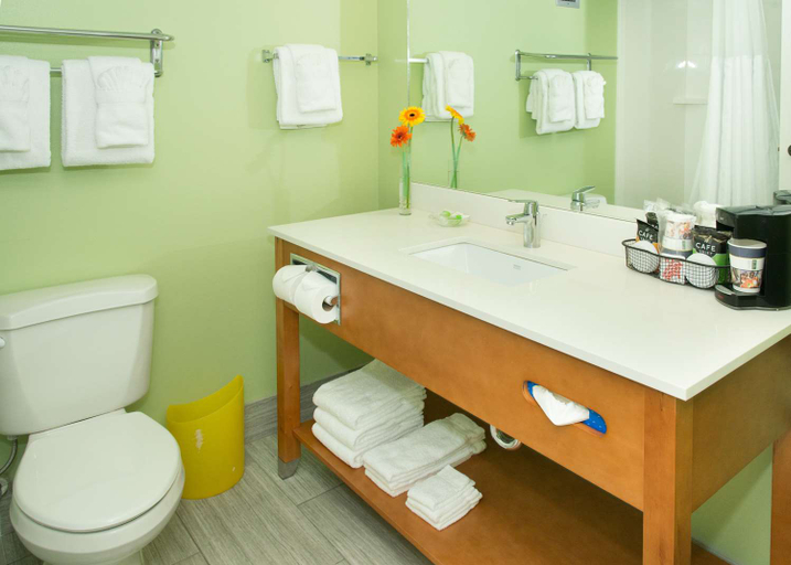 Bathroom, BealHouseFort Walton Beachfront TapestryCollection, Okaloosa