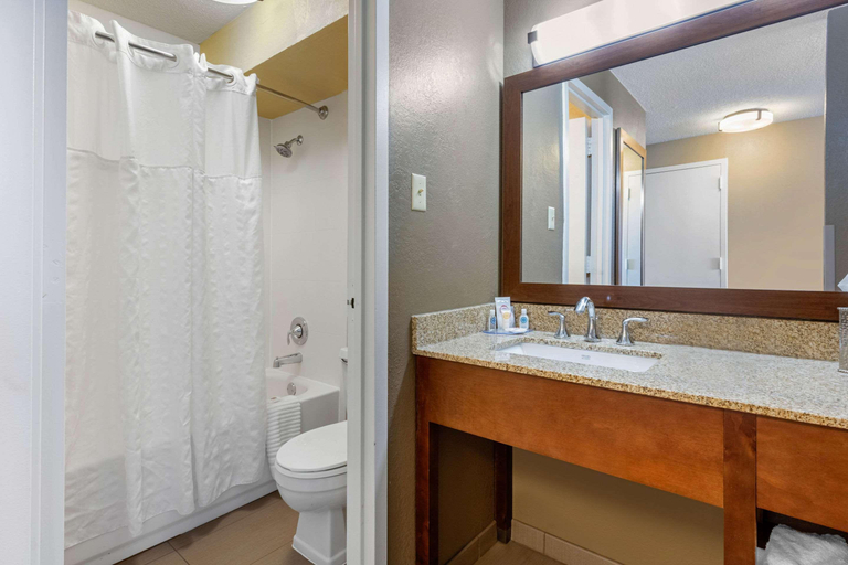 Bathroom 4, Comfort Inn Memphis Downtown, Shelby