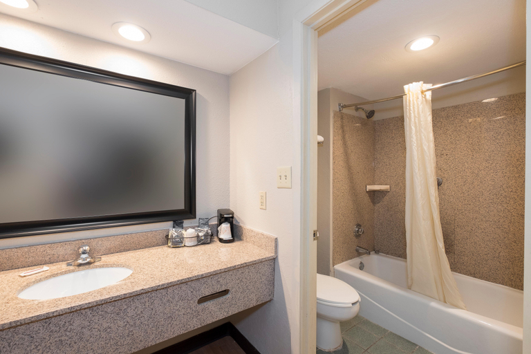 Bathroom 4, Red Roof Inn Mobile North - Saraland, Mobile