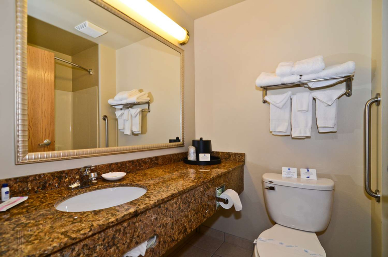 Bathroom 4, Spark by Hilton Oak Forest, Cook