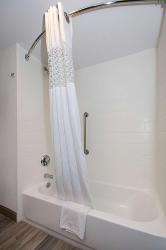 Bathroom 4, Hampton Inn Brevard, Transylvania
