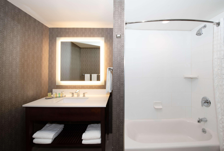 Bathroom, DoubleTree by Hilton Hotel & Suites Charleston Ai, Charleston