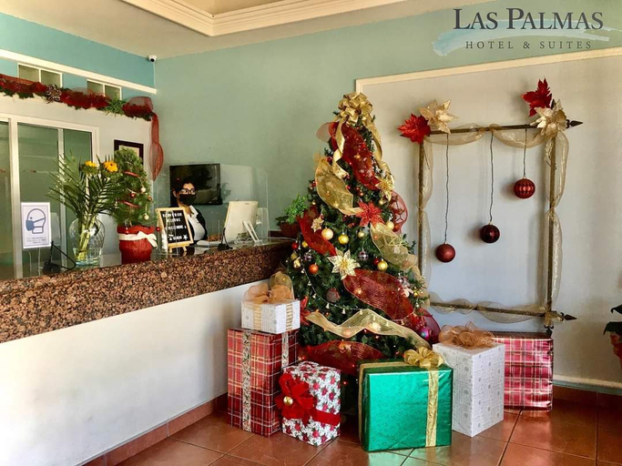 Public Area 3, Hotel & Suites Las Palmas, La Paz