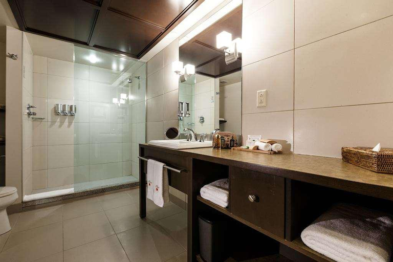 Bathroom 5, Hotel Mortagne, Lajemmerais