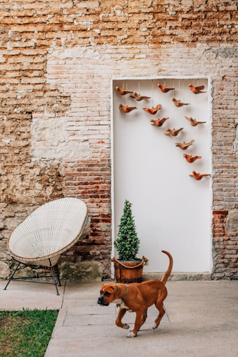 Public Area 3, Hotel Tabáa Oaxaca, Del Centro