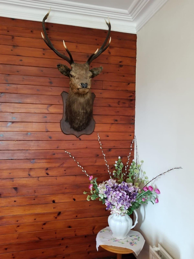 Public Area 2, Glenan Lodge Self Catering, Highland