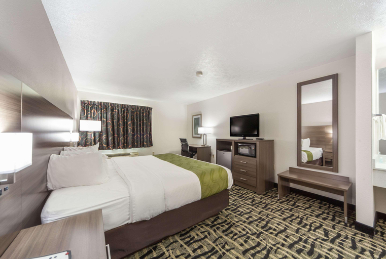 Bedroom 9